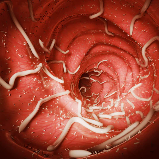 65ee78b3a4a3293c3303e959_7